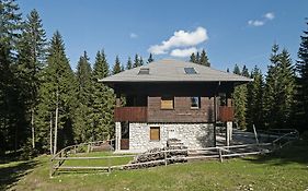Apartments Villa Vesna Pokljuka